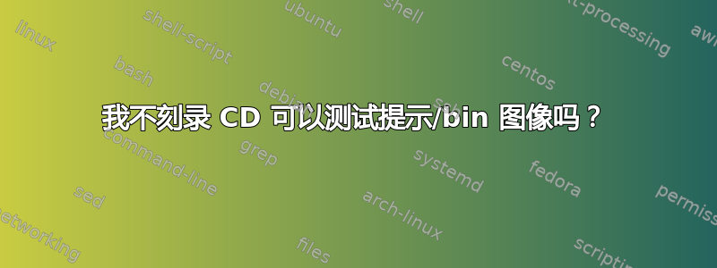 我不刻录 CD 可以测试提示/bin 图像吗？