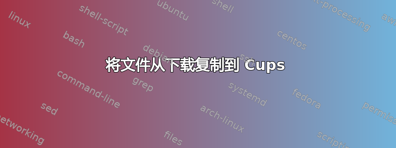 将文件从下载复制到 Cups