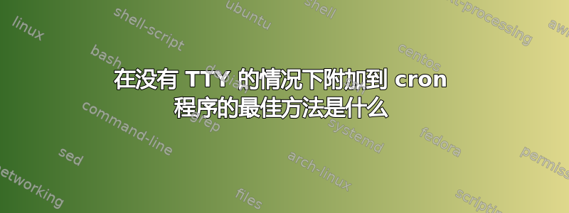 在没有 TTY 的情况下附加到 cron 程序的最佳方法是什么