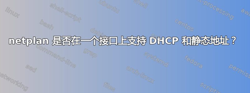 netplan 是否在一个接口上支持 DHCP 和静态地址？