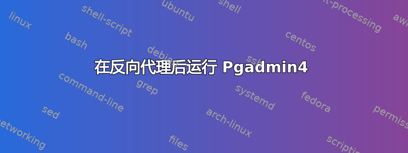 在反向代理后运行 Pgadmin4