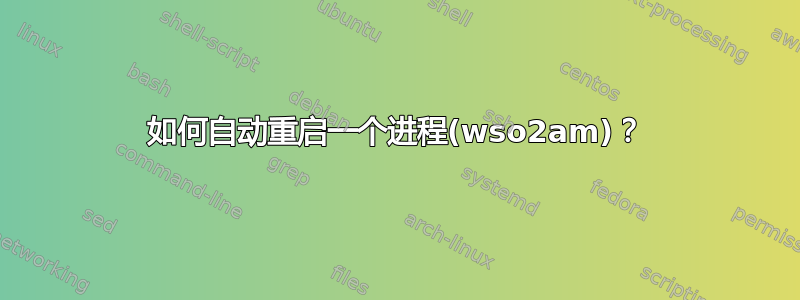 如何自动重启一个进程(wso2am)？