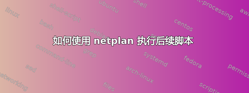 如何使用 netplan 执行后续脚本