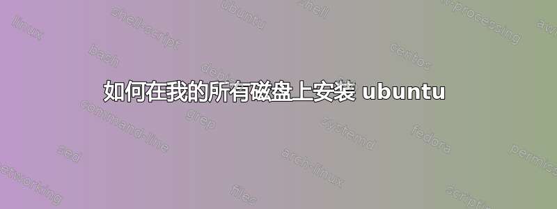 如何在我的所有磁盘上安装 ubuntu