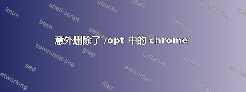 意外删除了 /opt 中的 chrome