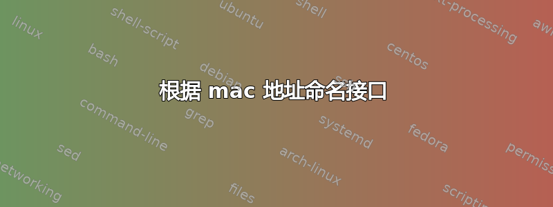 根据 mac 地址命名接口