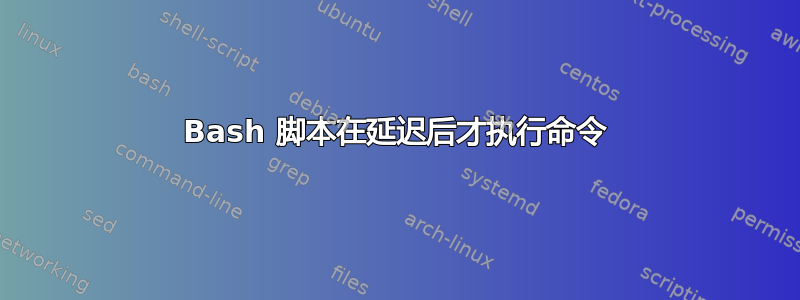 Bash 脚本在延迟后才执行命令