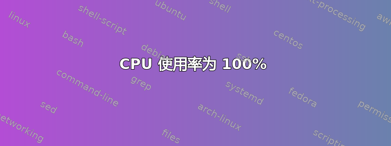 CPU 使用率为 100%