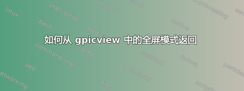 如何从 gpicview 中的全屏模式返回