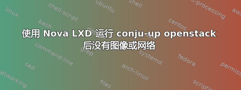 使用 Nova LXD 运行 conju-up openstack 后没有图像或网络