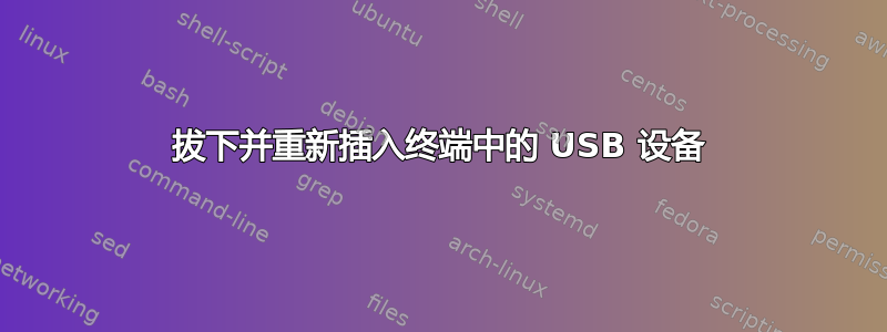 拔下并重新插入终端中的 USB 设备