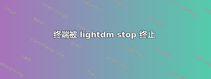 终端被 lightdm stop 终止