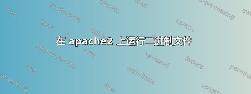 在 apache2 上运行二进制文件