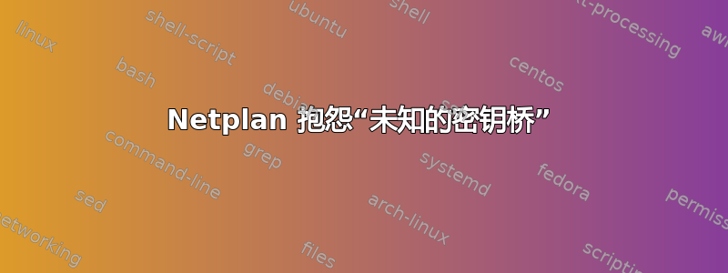 Netplan 抱怨“未知的密钥桥”