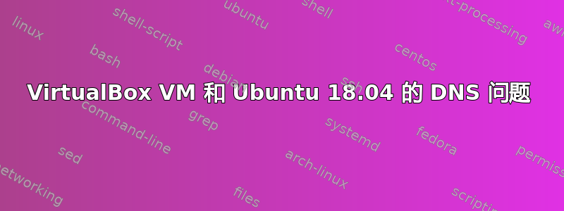 VirtualBox VM 和 Ubuntu 18.04 的 DNS 问题