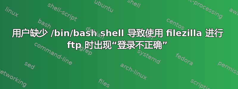 用户缺少 /bin/bash shell 导致使用 filezilla 进行 ftp 时出现“登录不正确”