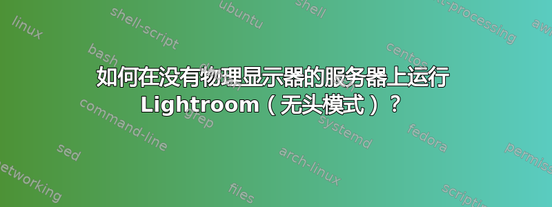 如何在没有物理显示器的服务器上运行 Lightroom（无头模式）？