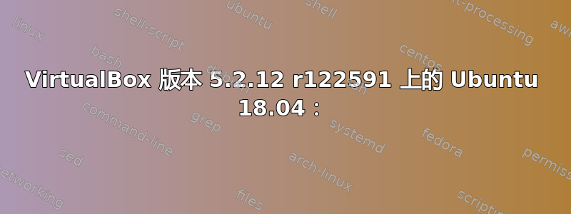 VirtualBox 版本 5.2.12 r122591 上的 Ubuntu 18.04：