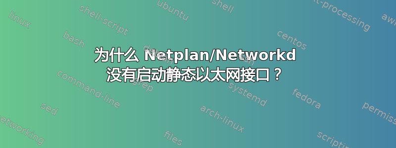 为什么 Netplan/Networkd 没有启动静态以太网接口？