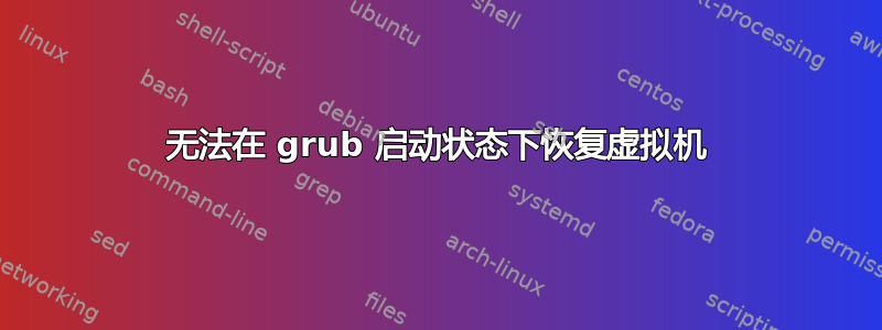 无法在 grub 启动状态下恢复虚拟机