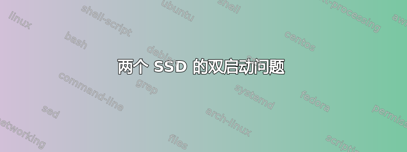 两个 SSD 的双启动问题