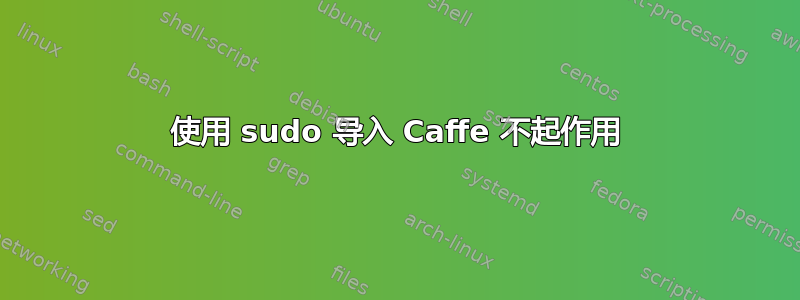 使用 sudo 导入 Caffe 不起作用