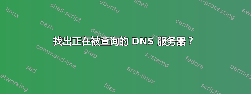 找出正在被查询的 DNS 服务器？