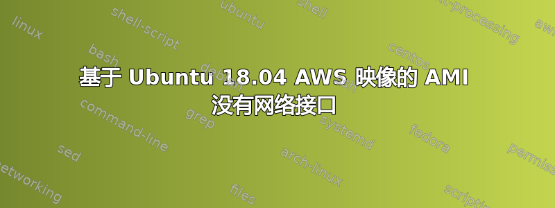 基于 Ubuntu 18.04 AWS 映像的 AMI 没有网络接口