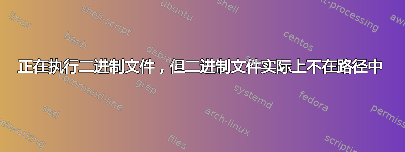 正在执行二进制文件，但二进制文件实际上不在路径中