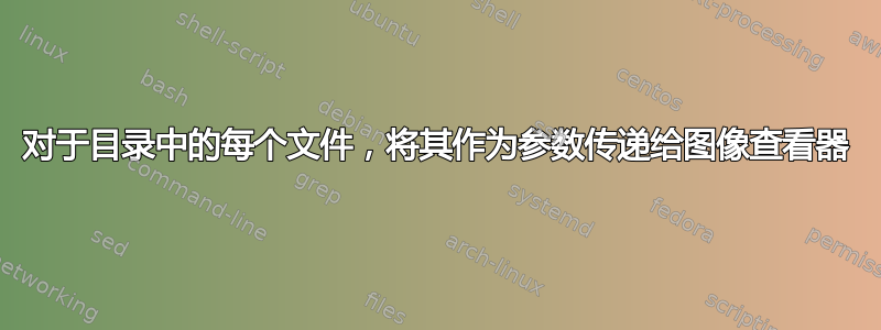 对于目录中的每个文件，将其作为参数传递给图像查看器