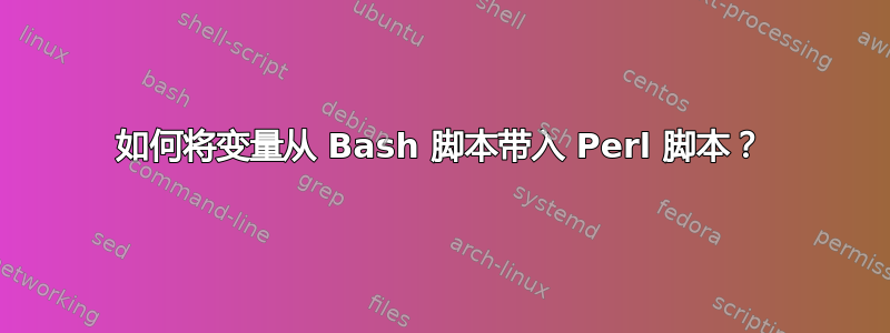 如何将变量从 Bash 脚本带入 Perl 脚本？