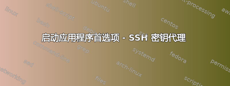 启动应用程序首选项 - SSH 密钥代理