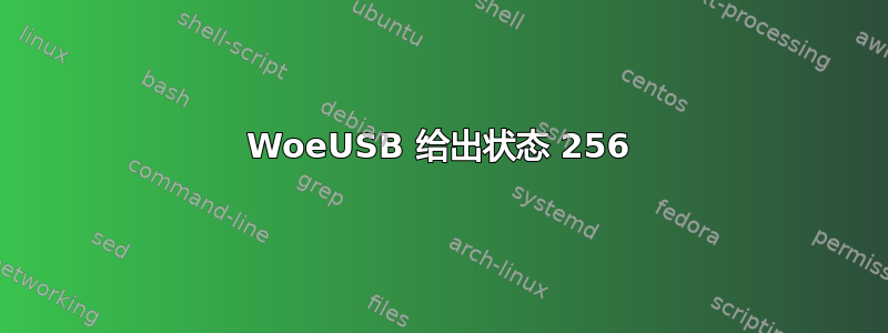 WoeUSB 给出状态 256