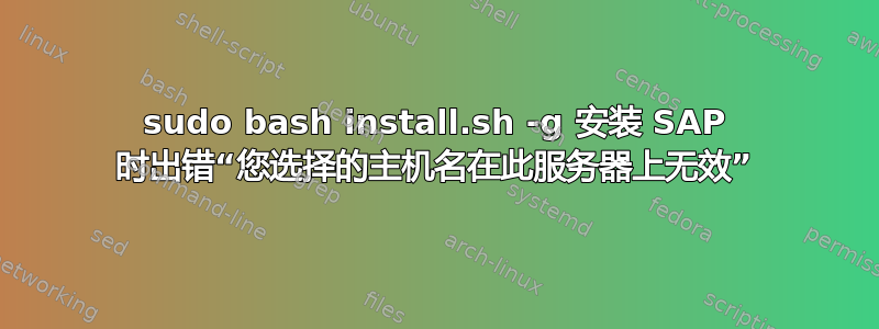 sudo bash install.sh -g 安装 SAP 时出错“您选择的主机名在此服务器上无效”