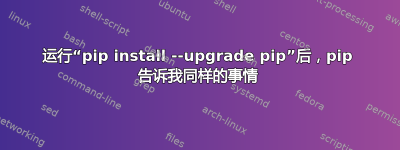 运行“pip install --upgrade pip”后，pip 告诉我同样的事情