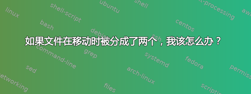 如果文件在移动时被分成了两个，我该怎么办？