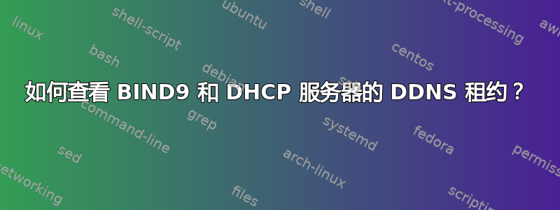 如何查看 BIND9 和 DHCP 服务器的 DDNS 租约？