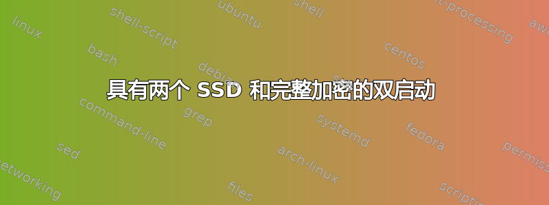 具有两个 SSD 和完整加密的双启动