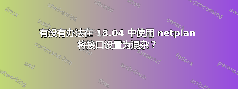 有没有办法在 18.04 中使用 netplan 将接口设置为混杂？