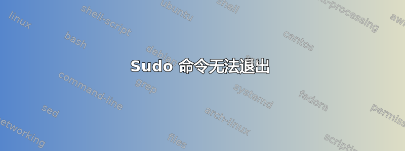 Sudo 命令无法退出