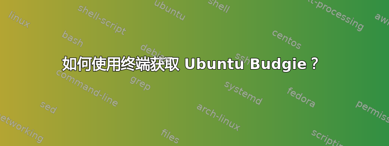 如何使用终端获取 Ubuntu Budgie？