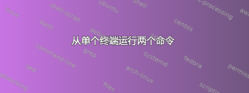 从单个终端运行两个命令