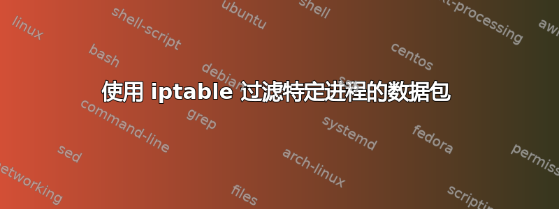 使用 iptable 过滤特定进程的数据包