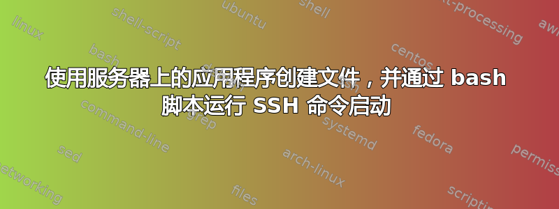 使用服务器上的应用程序创建文件，并通过 bash 脚本运行 SSH 命令启动