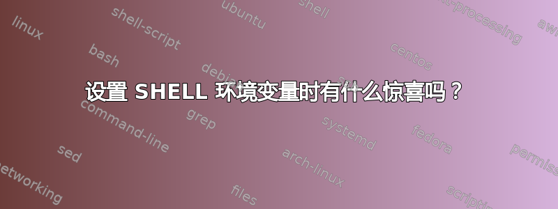 设置 SHELL 环境变量时有什么惊喜吗？