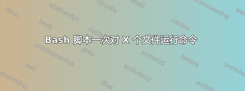 Bash 脚本一次对 X 个文件运行命令