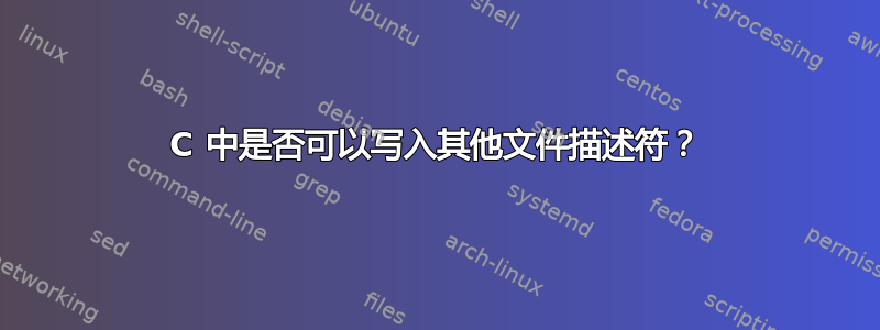 C 中是否可以写入其他文件描述符？