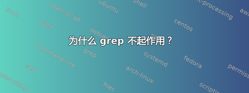 为什么 grep 不起作用？ 