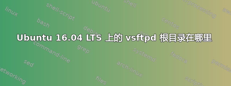 Ubuntu 16.04 LTS 上的 vsftpd 根目录在哪里