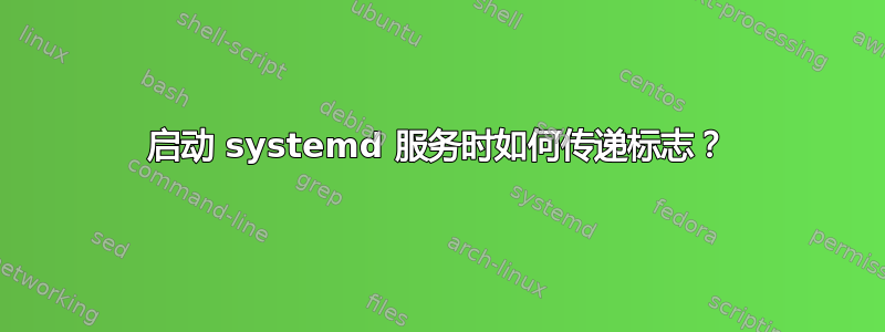 启动 systemd 服务时如何传递标志？